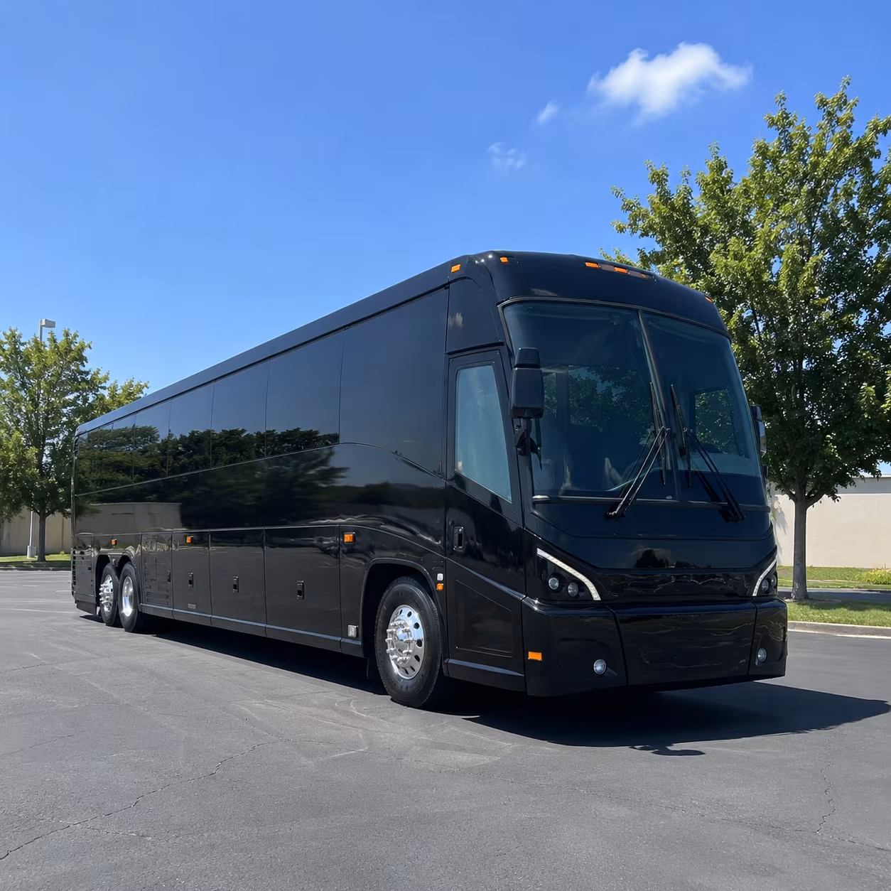 Cape Coral School Event & Field Trip Transportation