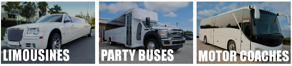 party bus limo rental greenville ms